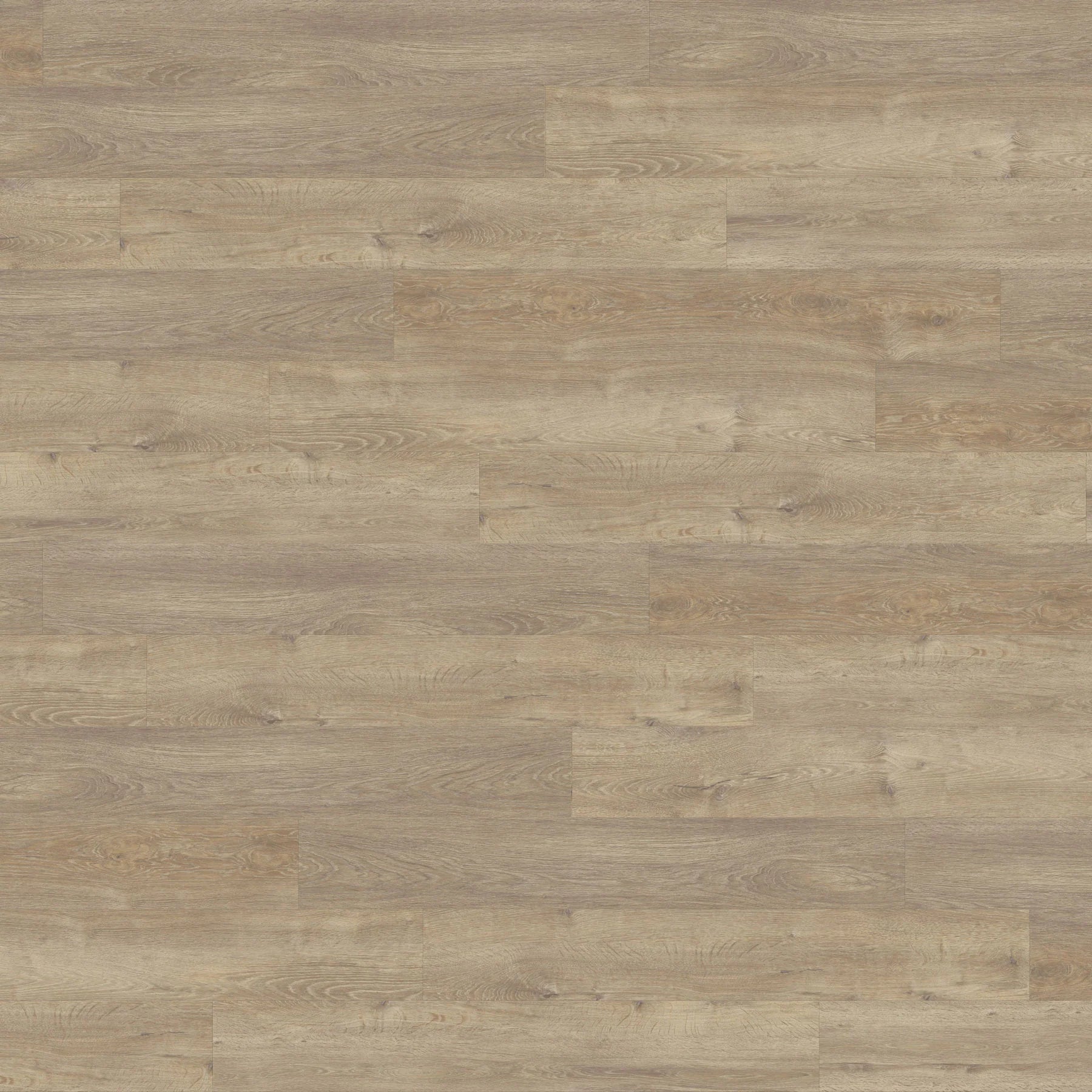 Close-up of European Oak LVT, showcasing a sophisticated oak finish in large plank format.