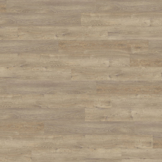 Close-up of European Oak Large Plank Click Flooring