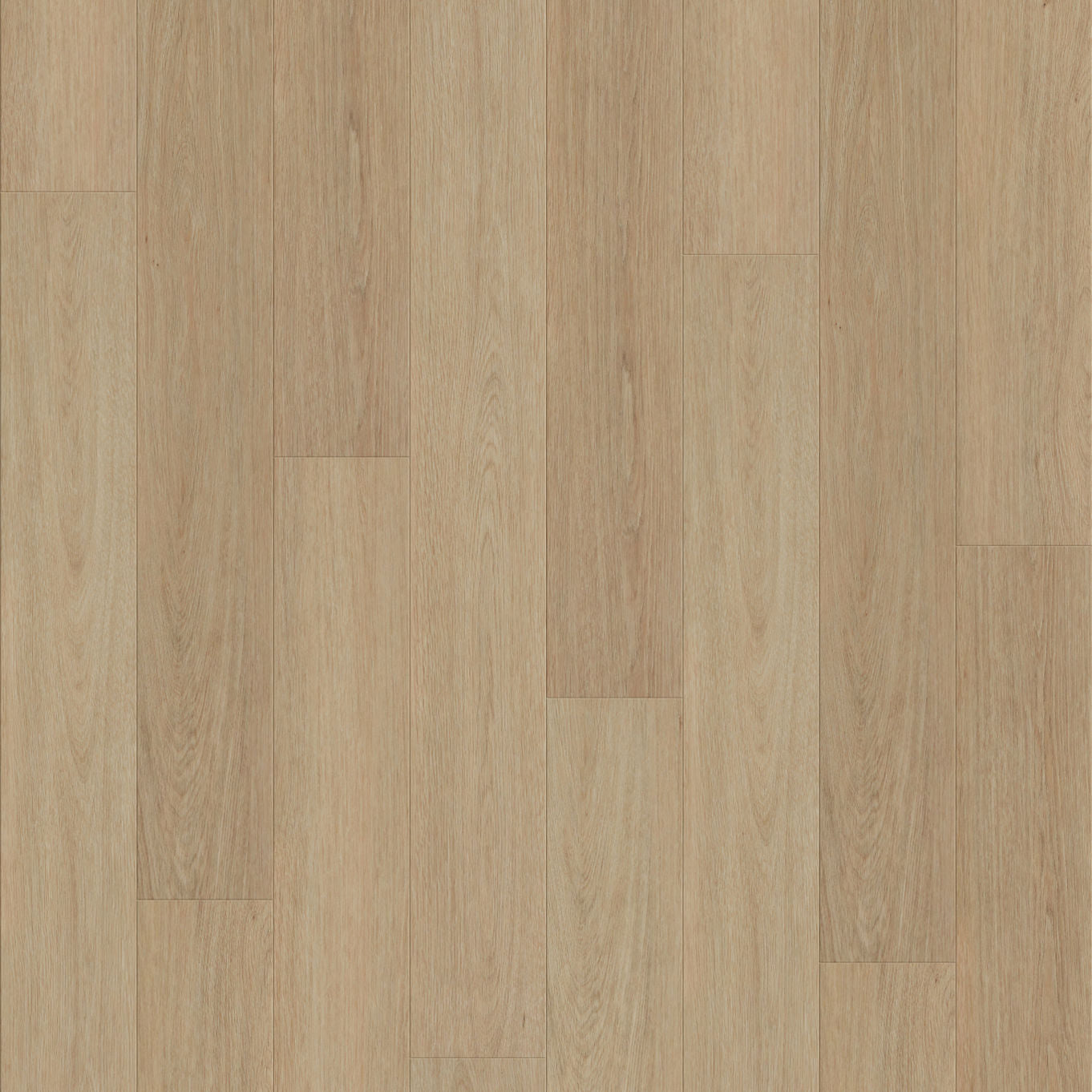Nordikka Naturals Swiss Larch LVT Flooring | 0.7mm Wear Layer