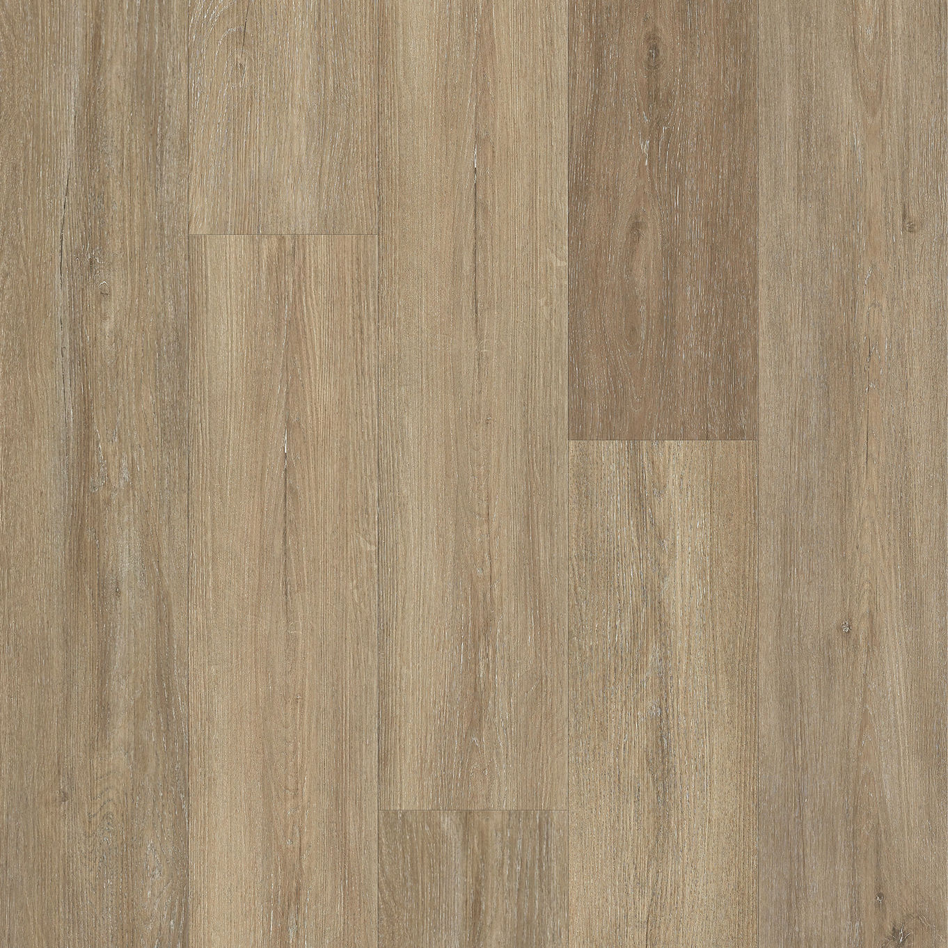 Nordikka Living American Elm Glue Down LVT Flooring