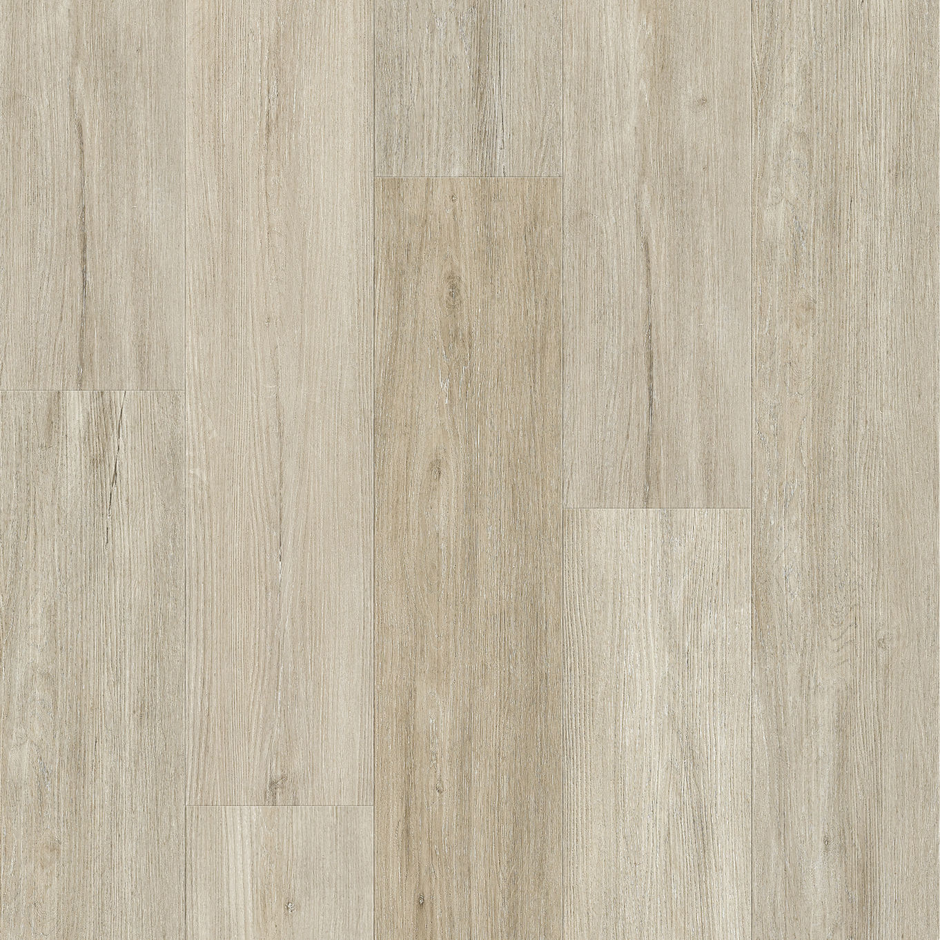 Nordikka Living White Poplar Glue Down LVT Flooring