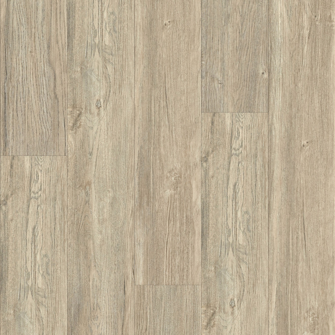 Nordikka Original Mountain Ash Glue Down LVT Flooring