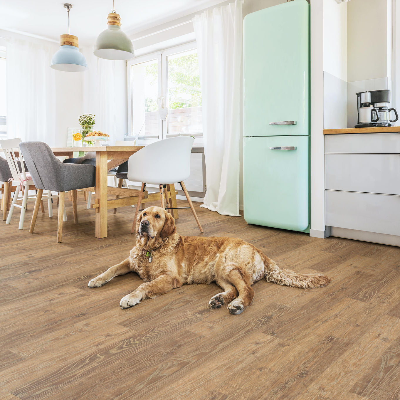 Nordikka Select Rustic Oak Glue Down LVT Flooring
