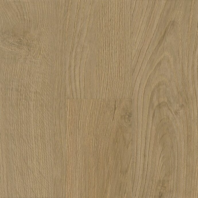 New Forest Oak Plank - RT24