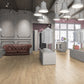 Laminate Flooring | The Laminate Collection | Harrow Range | £18.99m2