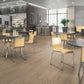 Laminate Flooring | The Laminate Collection | Harrow Range | £18.99m2