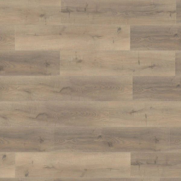 Grey Oyster Straight Plank Laminate 12mm Click Fit Flooring